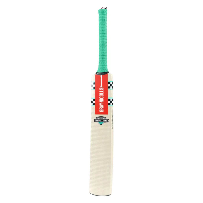Gray Nicolls VENTUS 1.0 WARRIOR Kashmir Willow Cricket Bat