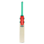 Gray Nicolls VENTUS 1.0 WARRIOR Kashmir Willow Cricket Bat