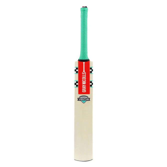 Gray Nicolls VENTUS 1.0 WARRIOR Kashmir Willow Cricket Bat