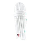 Gray Nicolls Ventus 1.0 Batting Pads