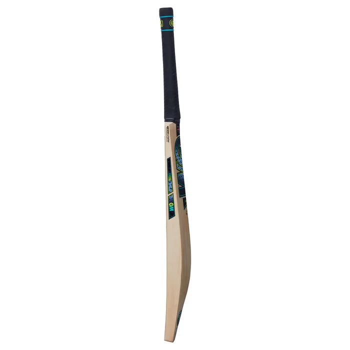 Gunn & Moore Aion DXM Signature Cricket Bat