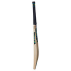 Gunn & Moore Aion DXM Signature Cricket Bat