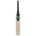 Gunn & Moore Aion DXM Signature Cricket Bat