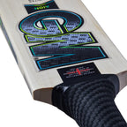 Gunn & Moore Aion DXM Signature Cricket Bat
