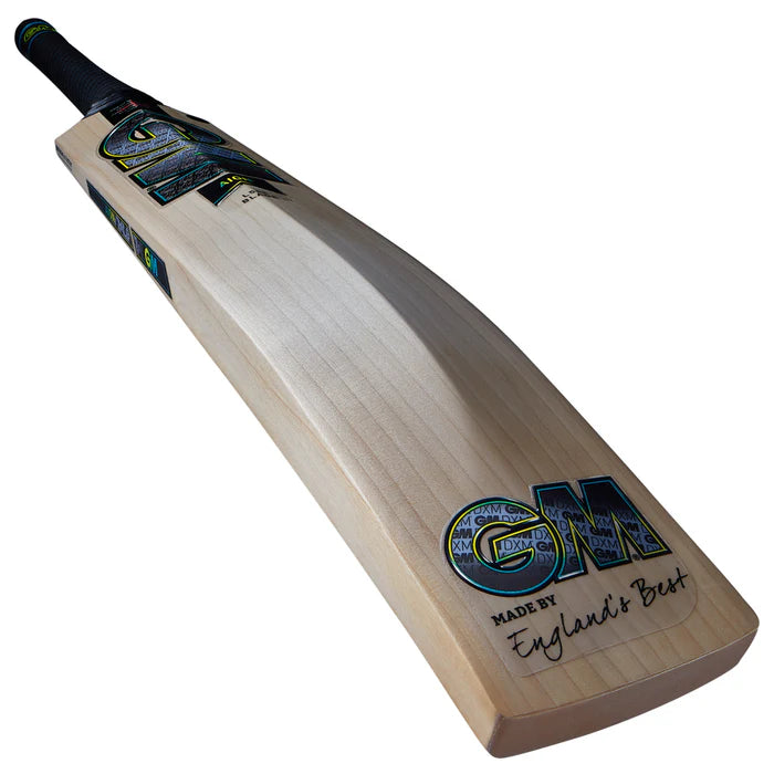Gunn & Moore Aion DXM Signature Cricket Bat