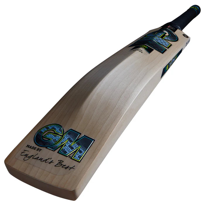 Gunn & Moore Aion DXM Signature Cricket Bat