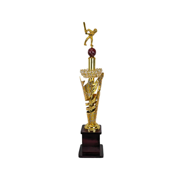 Cricket Batsman Trophy -270