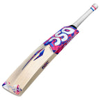 Top-down view of the Dsc Intense Ferocity bat highlighting its overall shape and profile.

