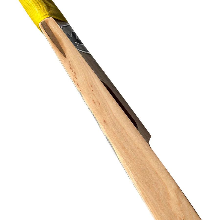 KC Master Stroke Kashmir Willow Bat