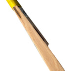 KC Master Stroke Kashmir Willow Bat