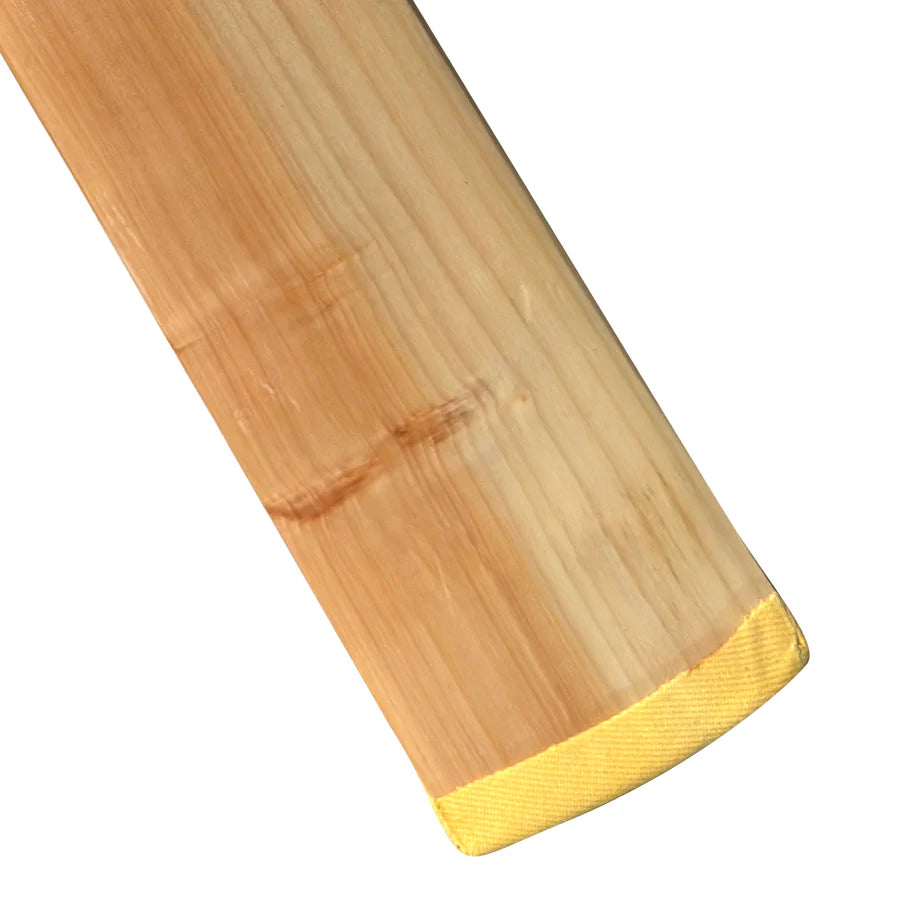 KC Master Stroke Kashmir Willow Bat