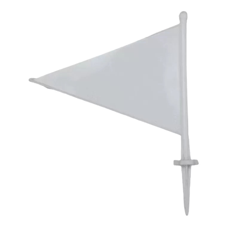 Boundary Flags