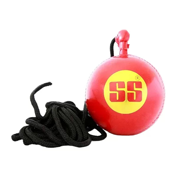 SS Cricket Ball Hanging