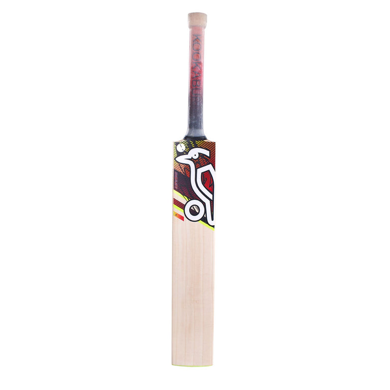 Kookaburra Beast 3.1 Cricket Bat