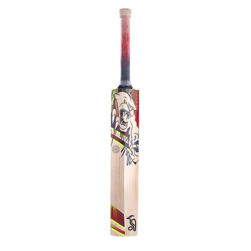 Kookaburra Beast 3.1 Cricket Bat