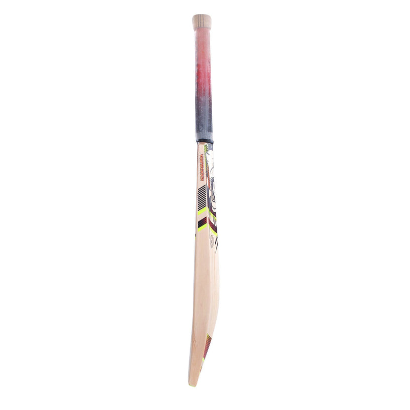 Kookaburra Beast 3.1 Cricket Bat