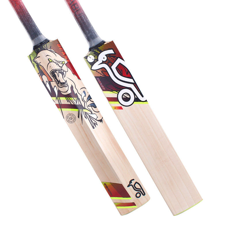 Kookaburra Beast 3.1 Cricket Bat