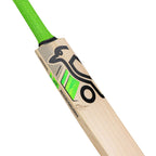 Detailed view of the rounded edge profile (34-37mm) on the Kookaburra Kahuna Pro bat 2026

