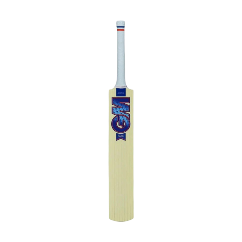 GM Mana Junior Kashmir willow Cricket Bat