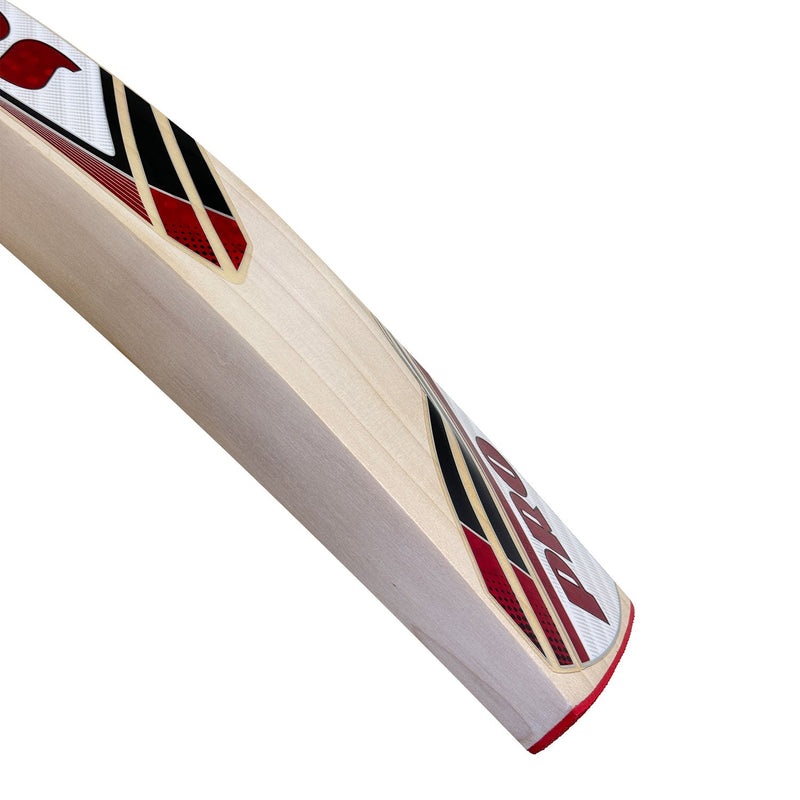 Protos Numisma English Willow Cricket Bat