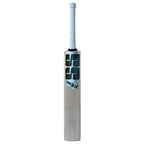 Batte de cricket SS Premium en saule anglais