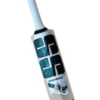 Batte de cricket SS Premium en saule anglais
