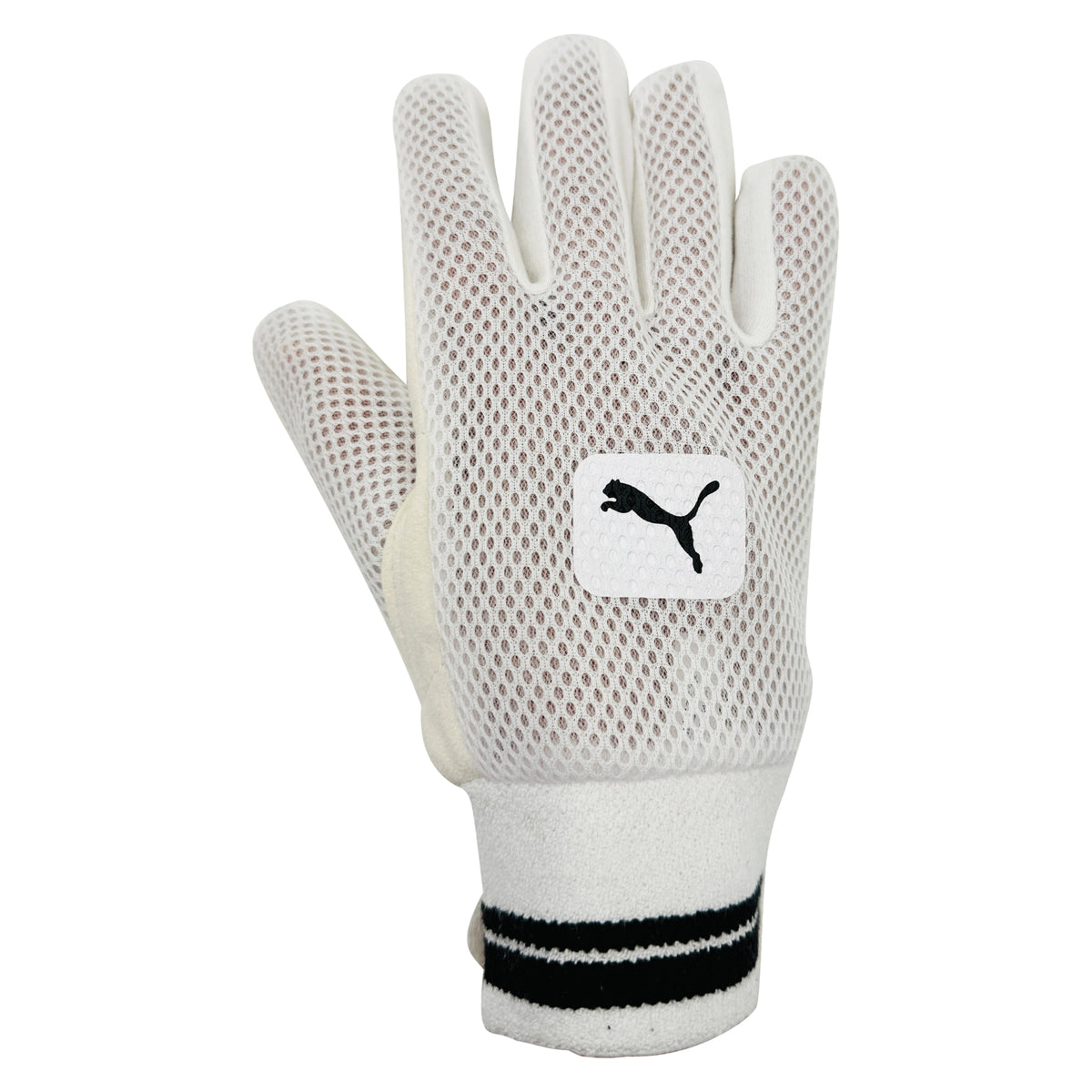 Full backhand mesh view of Puma Future 2 wicket keeping inner glove.