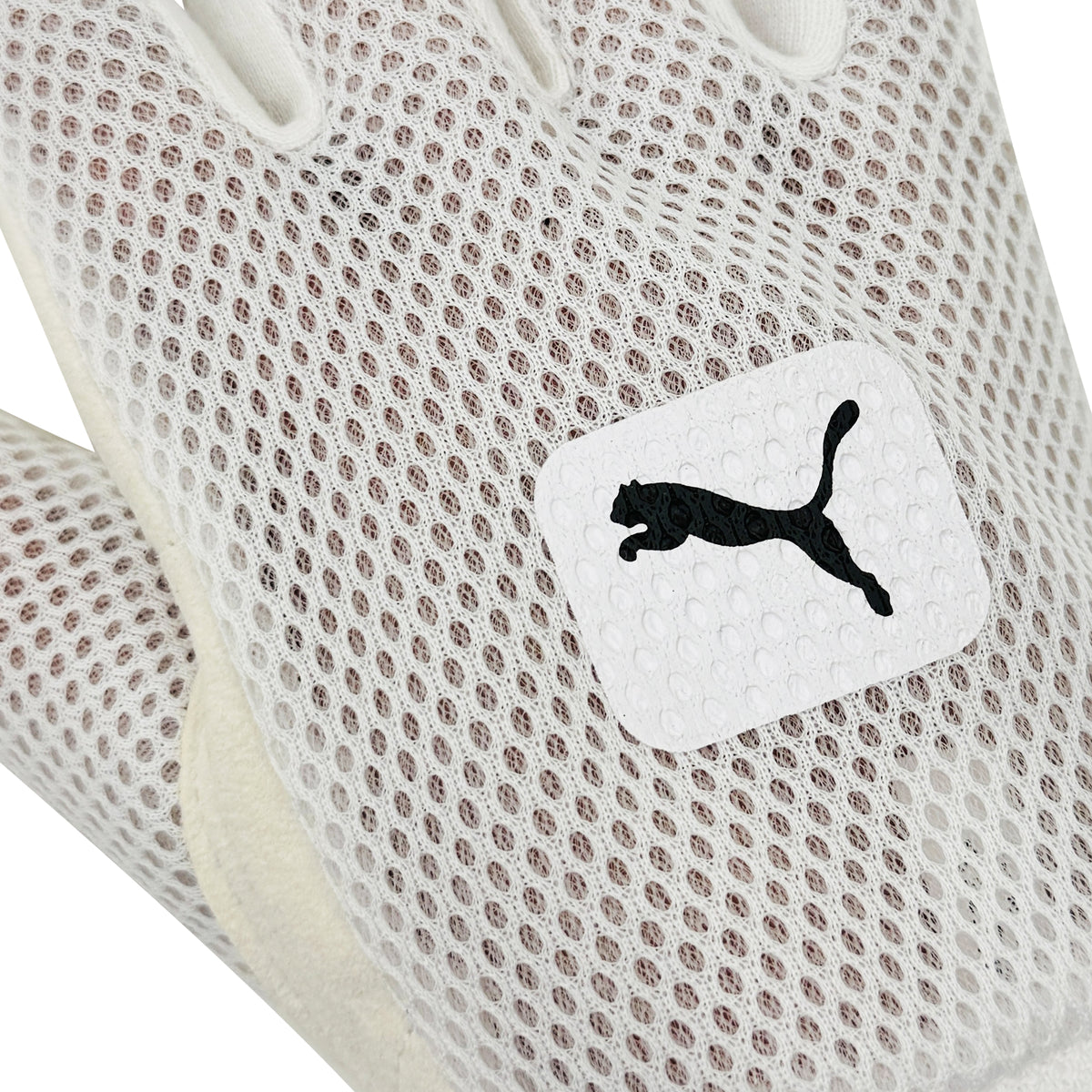Striped elastic wrist cuff on Puma Future 2 wicket keeping inner glove.