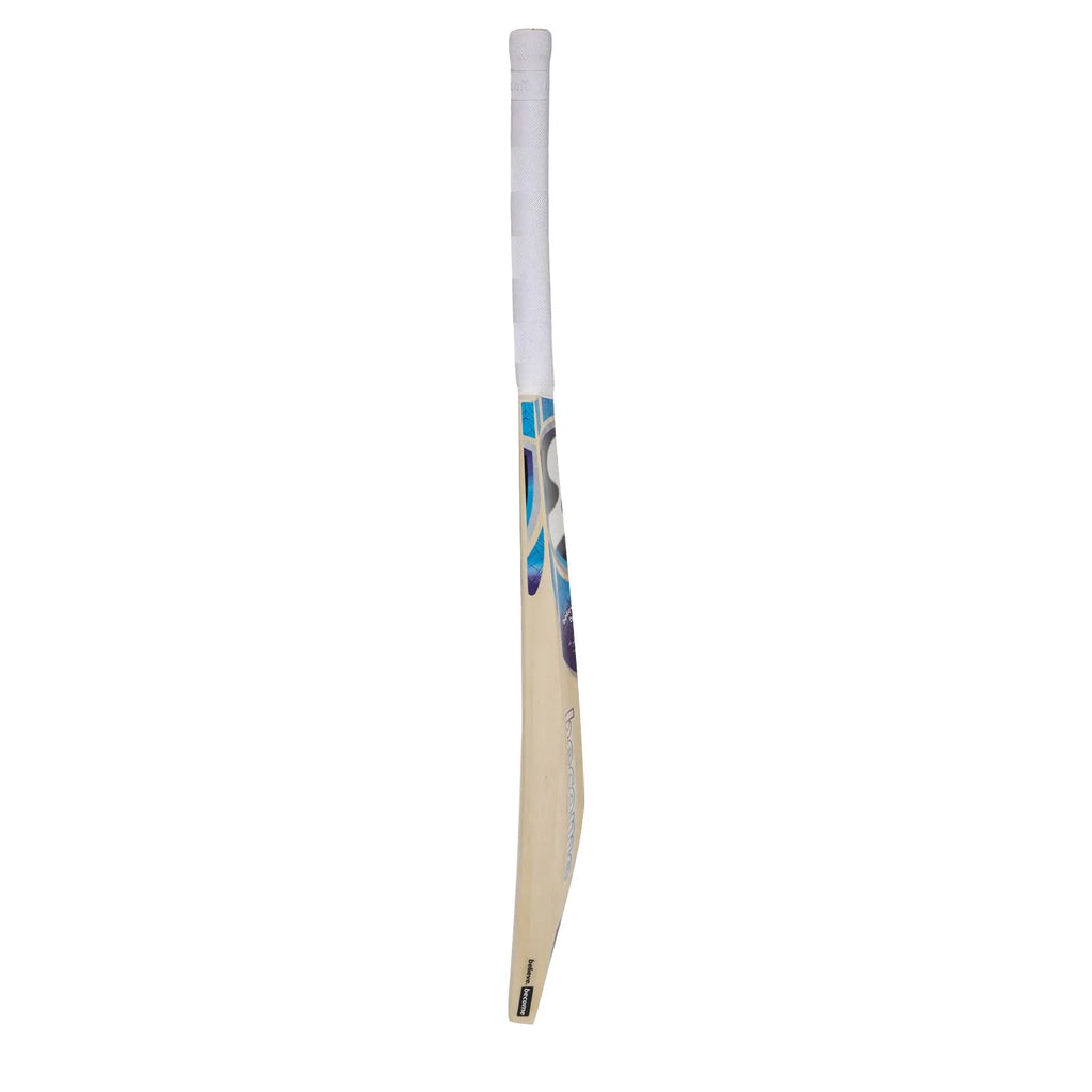 Batte de cricket SG Nexus Plus en saule du Cachemire