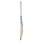 Batte de cricket SG Nexus Plus en saule du Cachemire