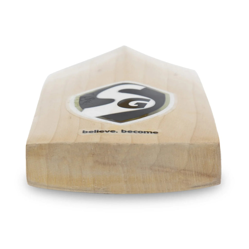 SG HP Icon English Willow cricket Bat