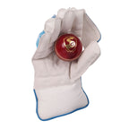 SG Tournament wicket keeping glove catching a red leather cricket ball in its textured pimple palm.