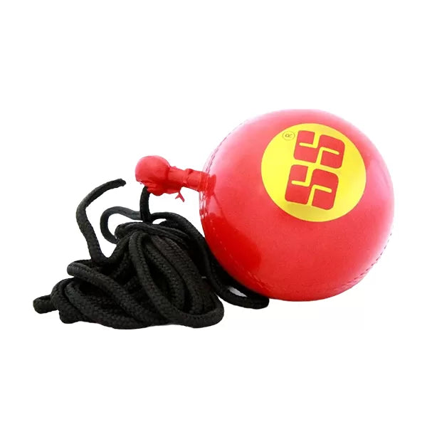 SS Cricket Ball Hanging