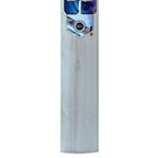 Detailed view of the Grade 3 air-dried English willow wood grain on the SS Champion Cricket Bat.