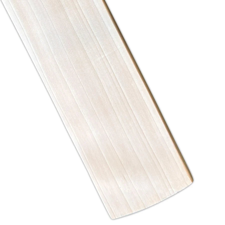 Close-up of the clean, multi-grain face on the SS Devils Green English Willow Cricket Bat blade.