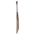 SS Josh Kashmir Willow Cricket Bat