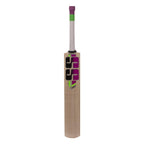 SS Josh Kashmir Willow Cricket Bat