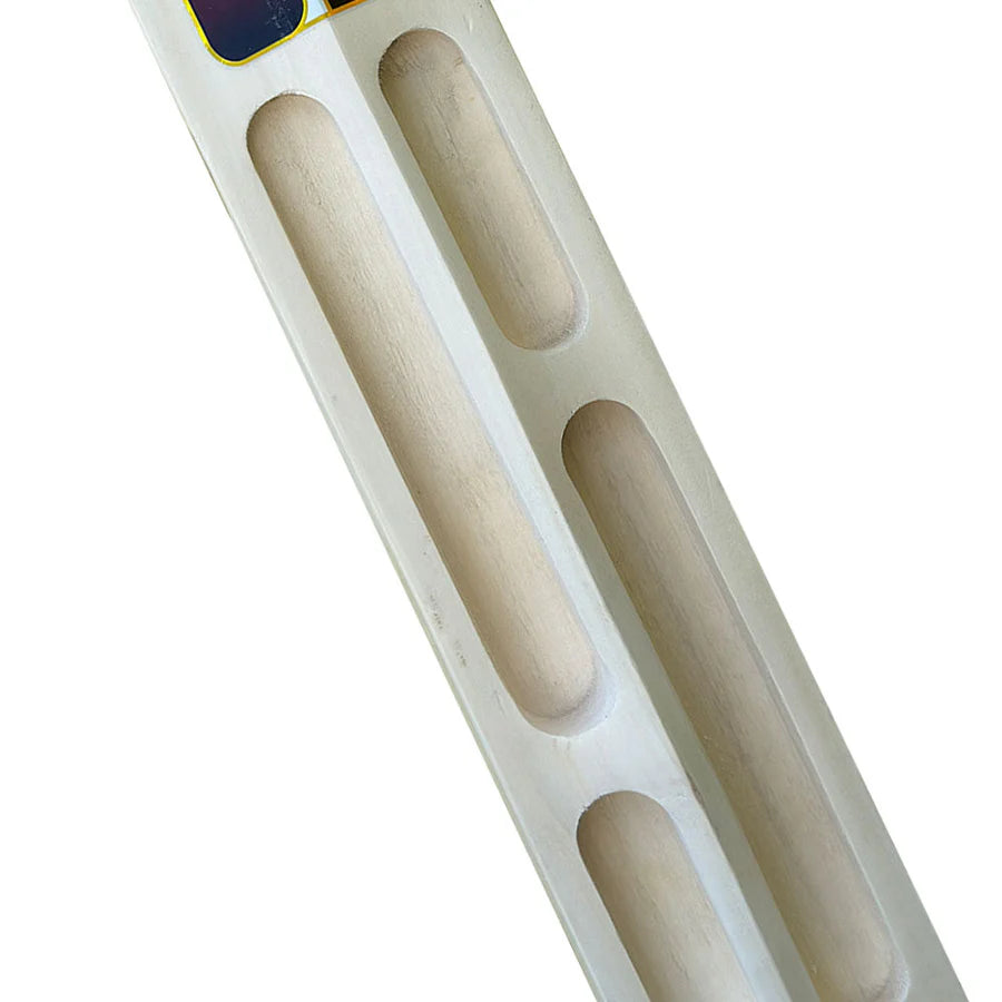 SS Soft Pro Premium Player Scoop Kashmir willow Cricket Bat