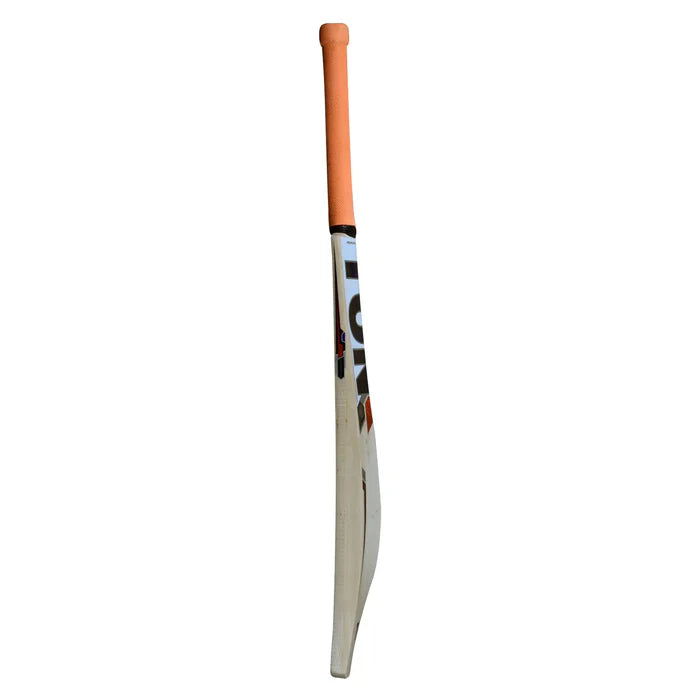 SS TON Thala Kashmir Willow Cricket Bat