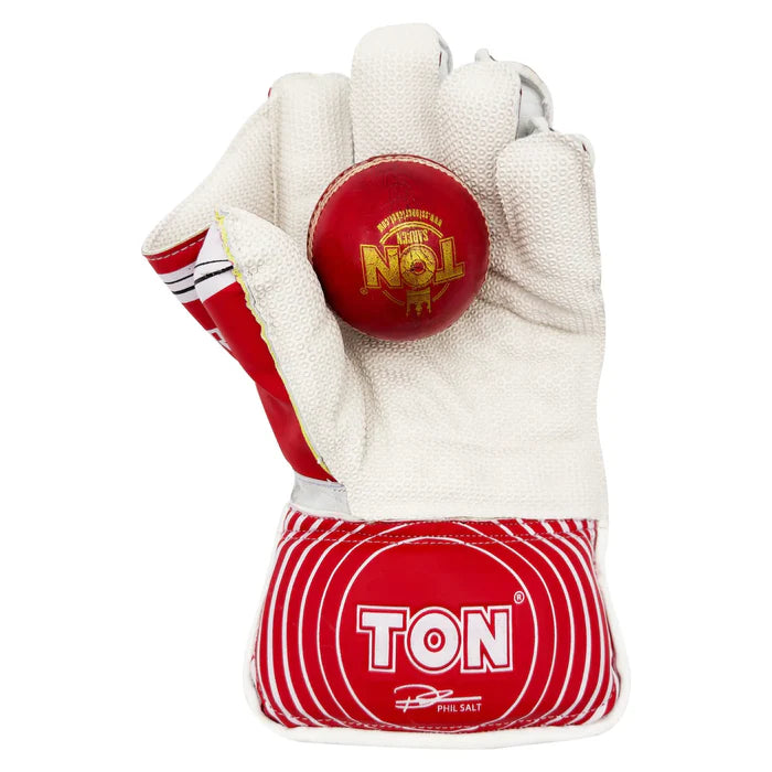 SS Ton Super Wicket Keeping Gloves