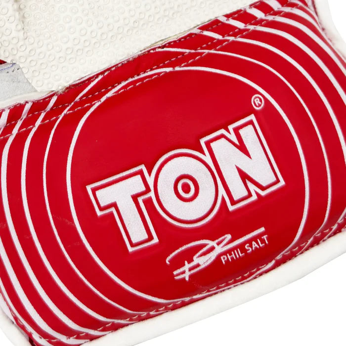 SS Ton Super Wicket Keeping Gloves