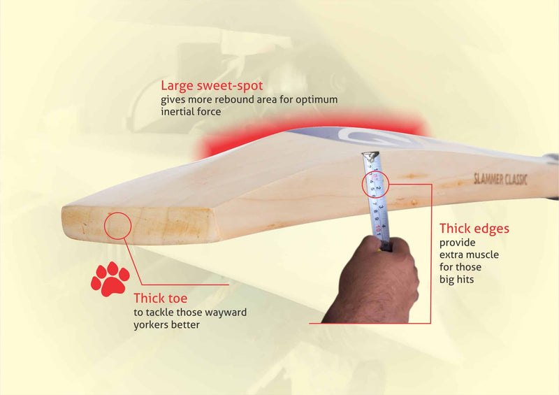 SG Slammer Classic Traditionally Shaped English Willow Cricket Bat 3