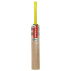 Batte de cricket Nicolls Tempesta 1.0 300 grise