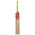 Batte de cricket Nicolls Tempesta 1.0 300 grise