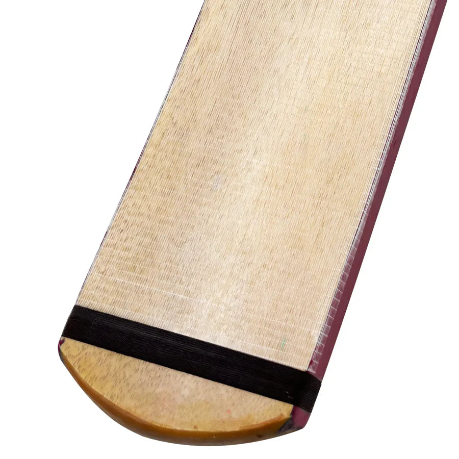 TM King Edition bat leaning against a wall, showing its full design and finish.

