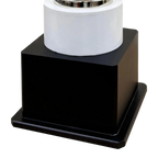 Cricket World Cup Trophy Set