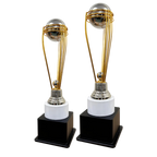 Cricket World Cup Trophy Set