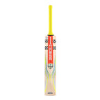 Gray Nicolls Tempesta 1.0 300 Cricket Bat