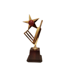 Star Crickter Trophy-266