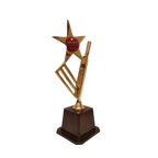 Star Crickter Trophy-266